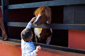 Vila Velluti Hotel SPA