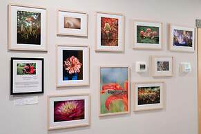 La Fabrique hebergement art et nature