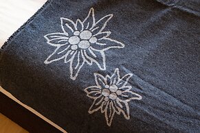 Haus Valtellina in St Gallenkirch