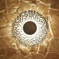 AVA Hotel Chandigarh Zirakpur