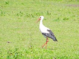Hausboot in Barth am Barther Bodden