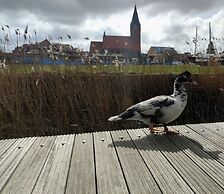 Hausboot in Barth am Barther Bodden