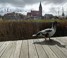 Hausboot in Barth am Barther Bodden
