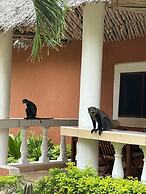 Diani Campsite & Cottages