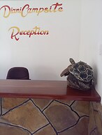 Diani Campsite & Cottages