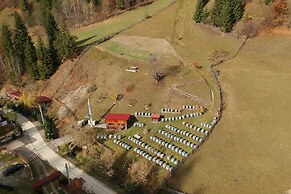 Pensiunea Vânătorul