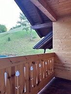 Pensiunea Vânătorul