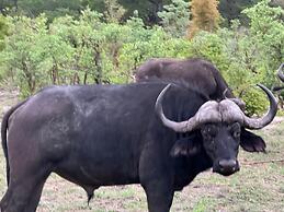 Chamabondo Tented Camp