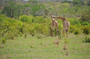 Chamabondo Tented Camp