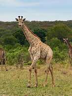 Chamabondo Tented Camp