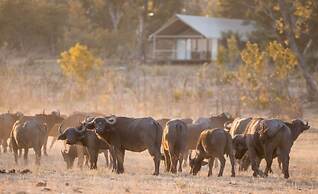 Chamabondo Tented Camp