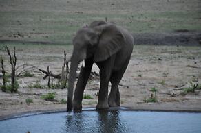 Chamabondo Tented Camp