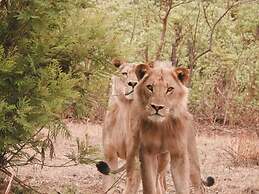 Chamabondo Tented Camp