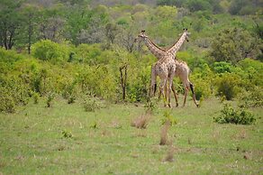 Chamabondo Tented Camp