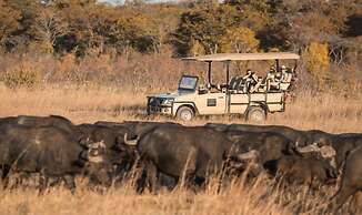 Chamabondo Tented Camp