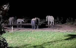 Chamabondo Tented Camp