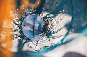 Harbour Stays - Ocean Square