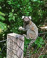 Banana Leaf Eco Hostel