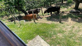 Finca Recreativa los Altos Giraldos