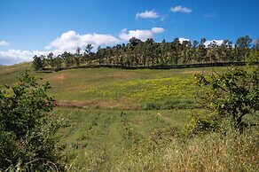 Málaga Sierra de las Nieves Real Spain Adults Recommended