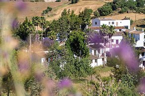 Málaga Sierra de las Nieves Real Spain Adults Recommended