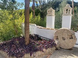 Málaga Sierra de las Nieves Real Spain Adults Recommended