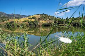 Málaga Sierra de las Nieves Real Spain Adults Recommended