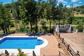 Málaga Sierra de las Nieves Real Spain Adults Recommended