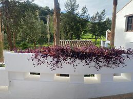 Málaga Sierra de las Nieves Real Spain Adults Recommended