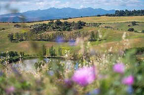 Málaga Sierra de las Nieves Real Spain Adults Recommended