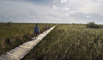 Tropical House With Private Pool in Downtown