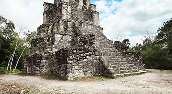 Tropical House With Private Pool in Downtown