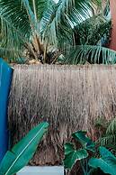 Tropical House With Private Pool in Downtown