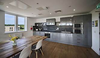 Student Only The Oaks