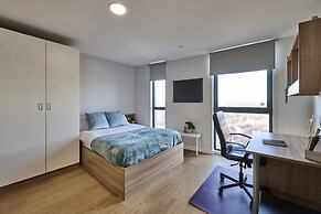 Student Only The Summit