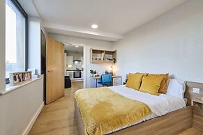 Student Only The Summit