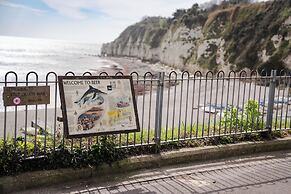 The Dolphin
