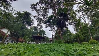 Gavadana Resort Coorg