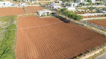 La Conchiglia di Torre Vado With Sea View