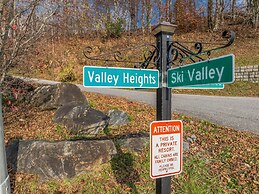 Blue Ridge Mountain Cabin With Stunning Views