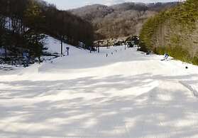 Blue Ridge Mountain Cabin With Stunning Views