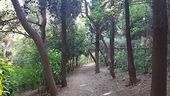 Ionos Dragoumi 34 Athens Comfy Studio