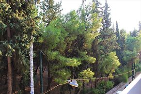 Ionos Dragoumi 34 Athens Comfy Studio