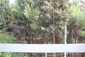 Ionos Dragoumi 34 Athens Comfy Studio