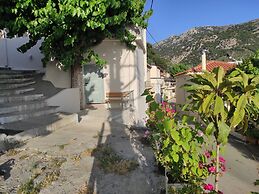 Endiktis Art Home Katofigi