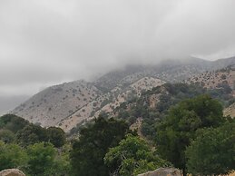 Endiktis Art Home Katofigi