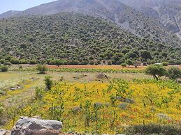 Endiktis Art Home Katofigi