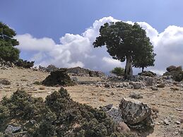 Endiktis Art Home Katofigi