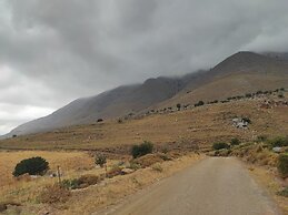 Endiktis Art Home Katofigi