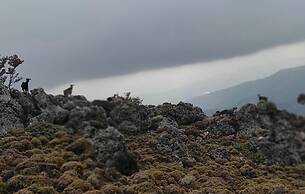 Endiktis Art Home Katofigi